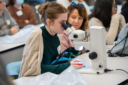 Marine Biology Day 2023